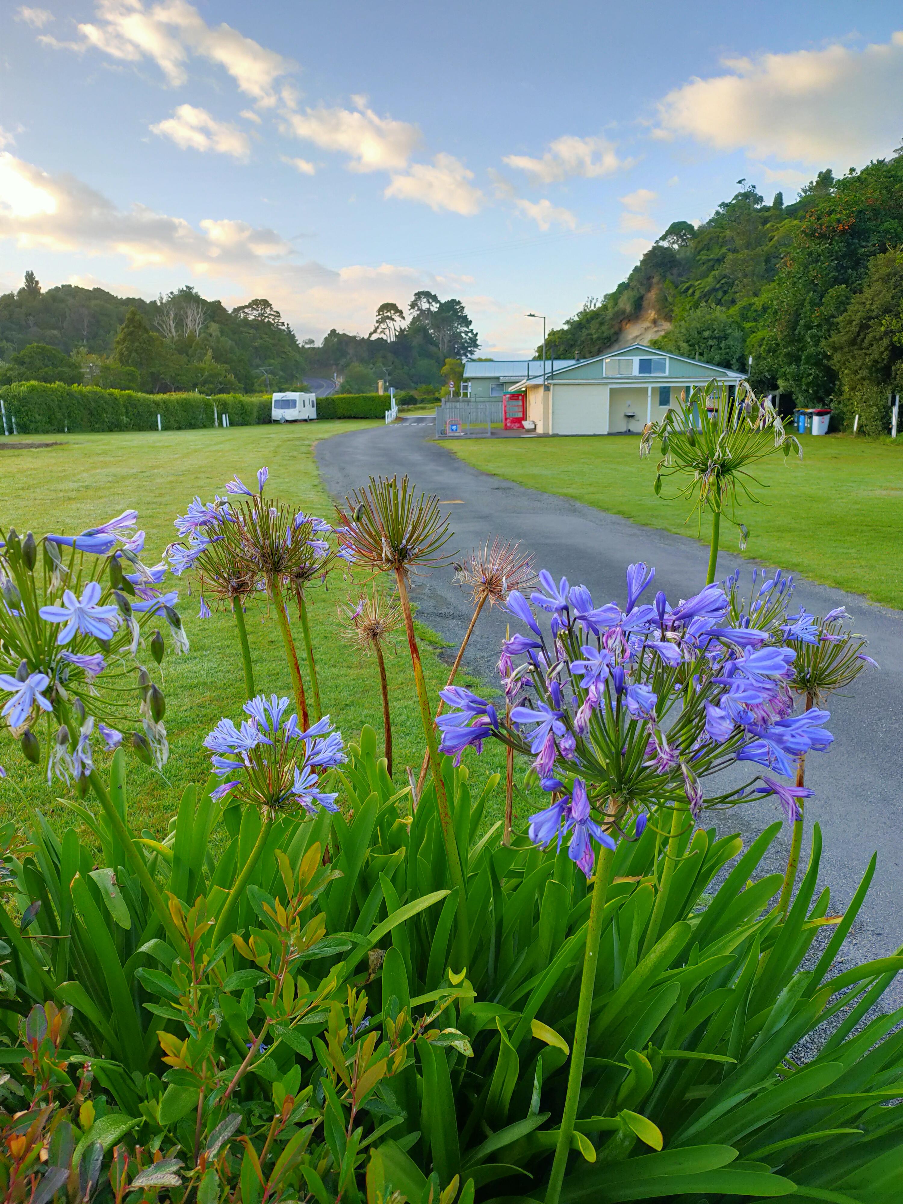 Onaero Bay Holiday Park
