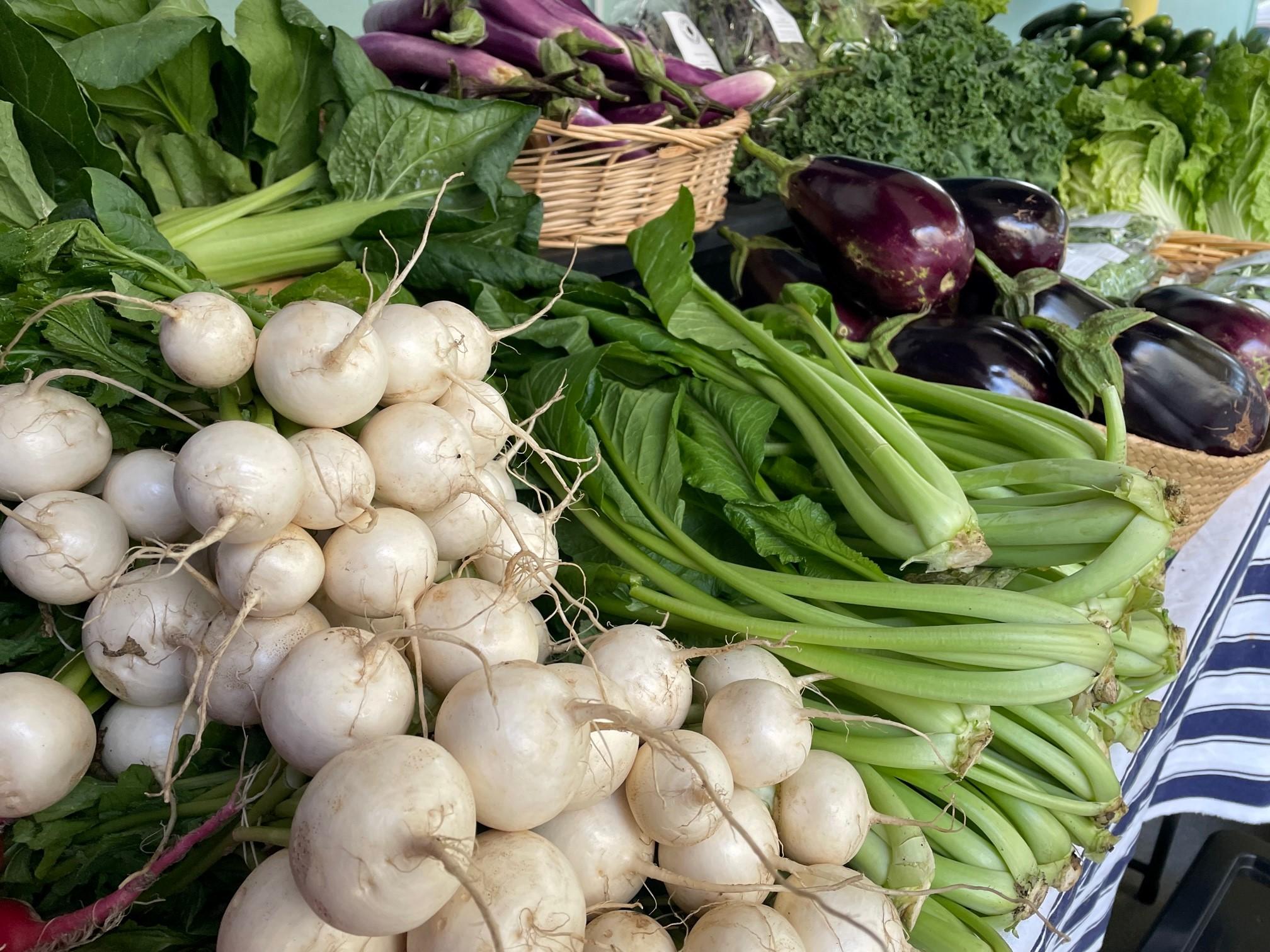 Coastal Market Garden