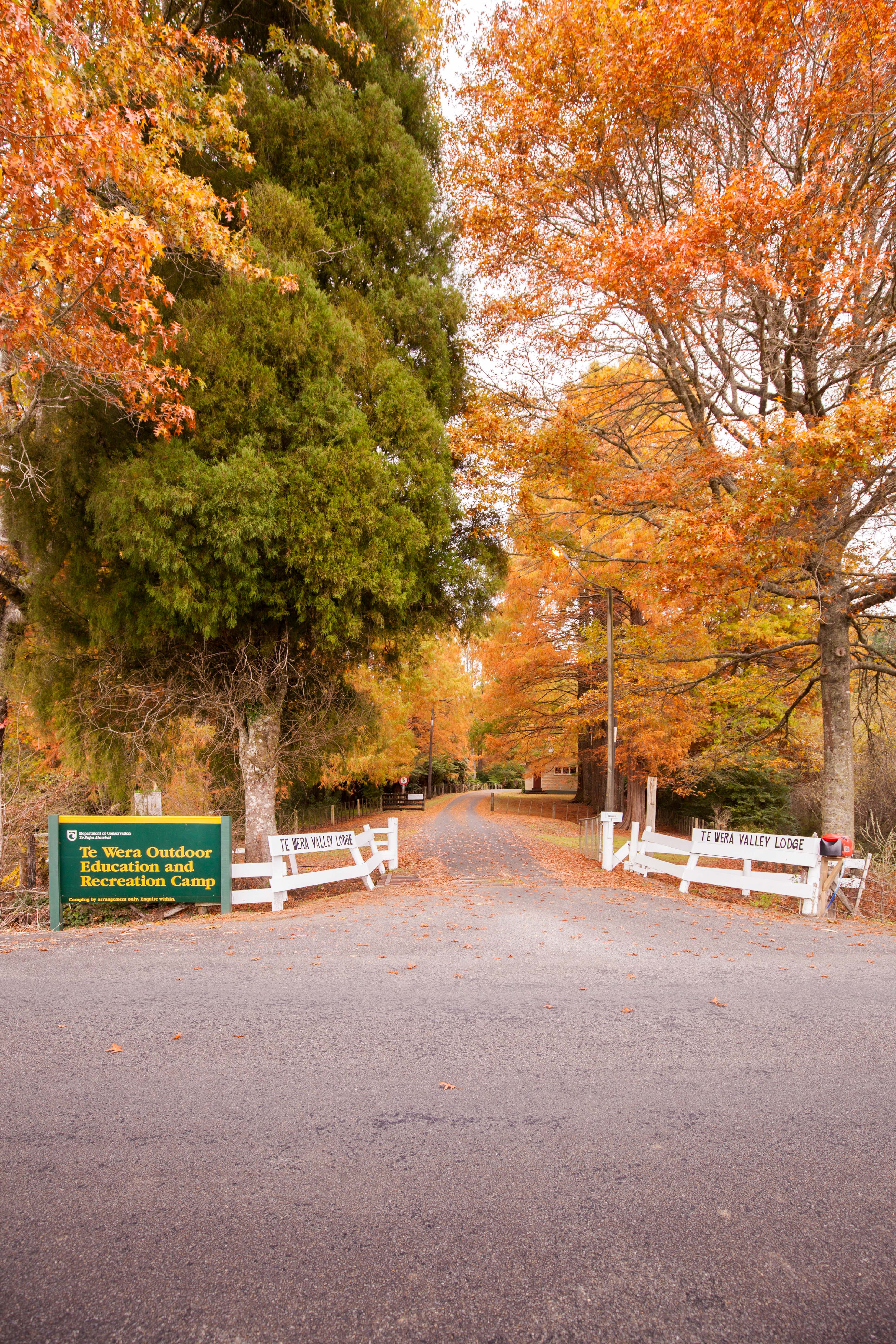 Te Wera Valley Lodge Campground