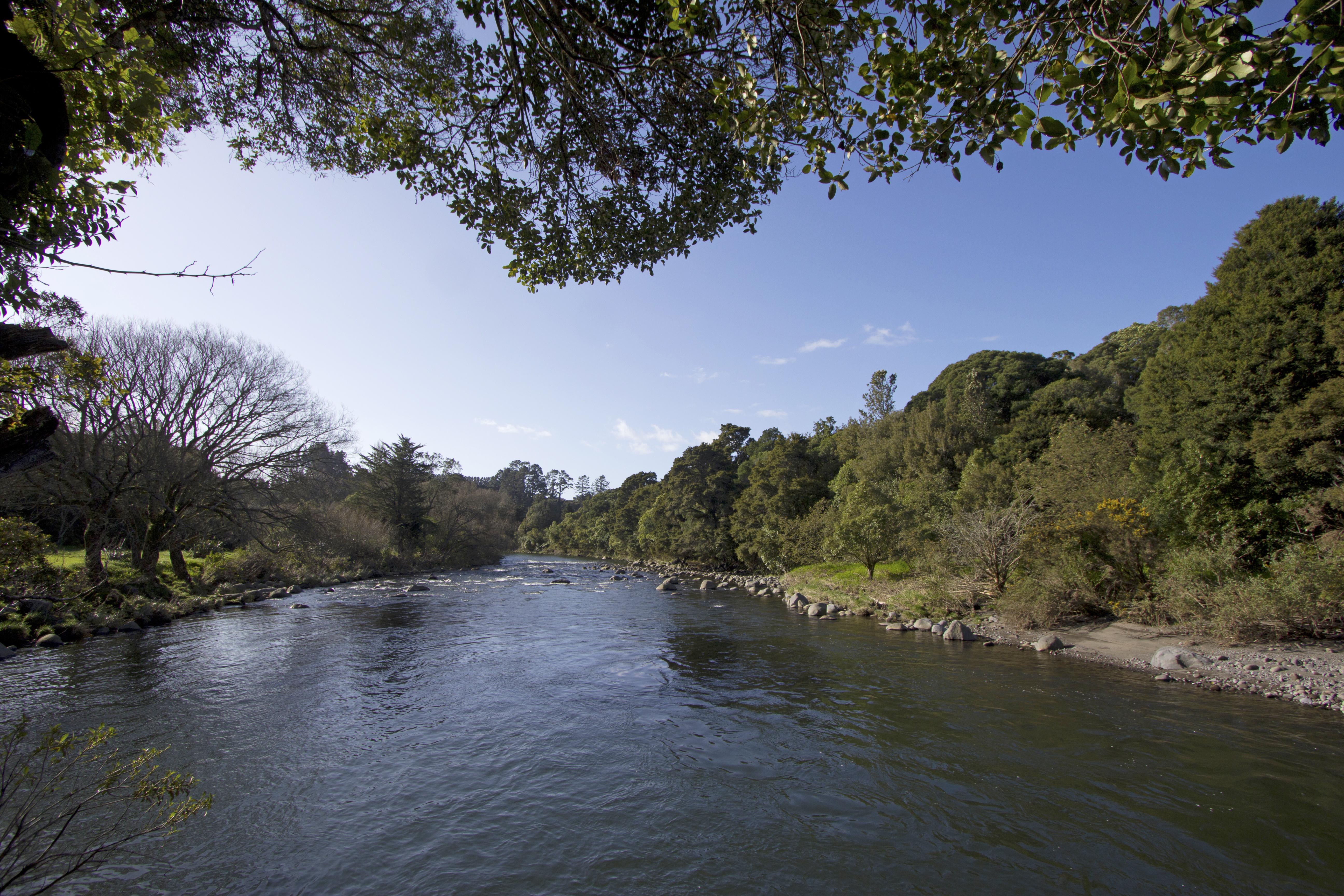 Meeting of the Waters/Araheke Bush Walk