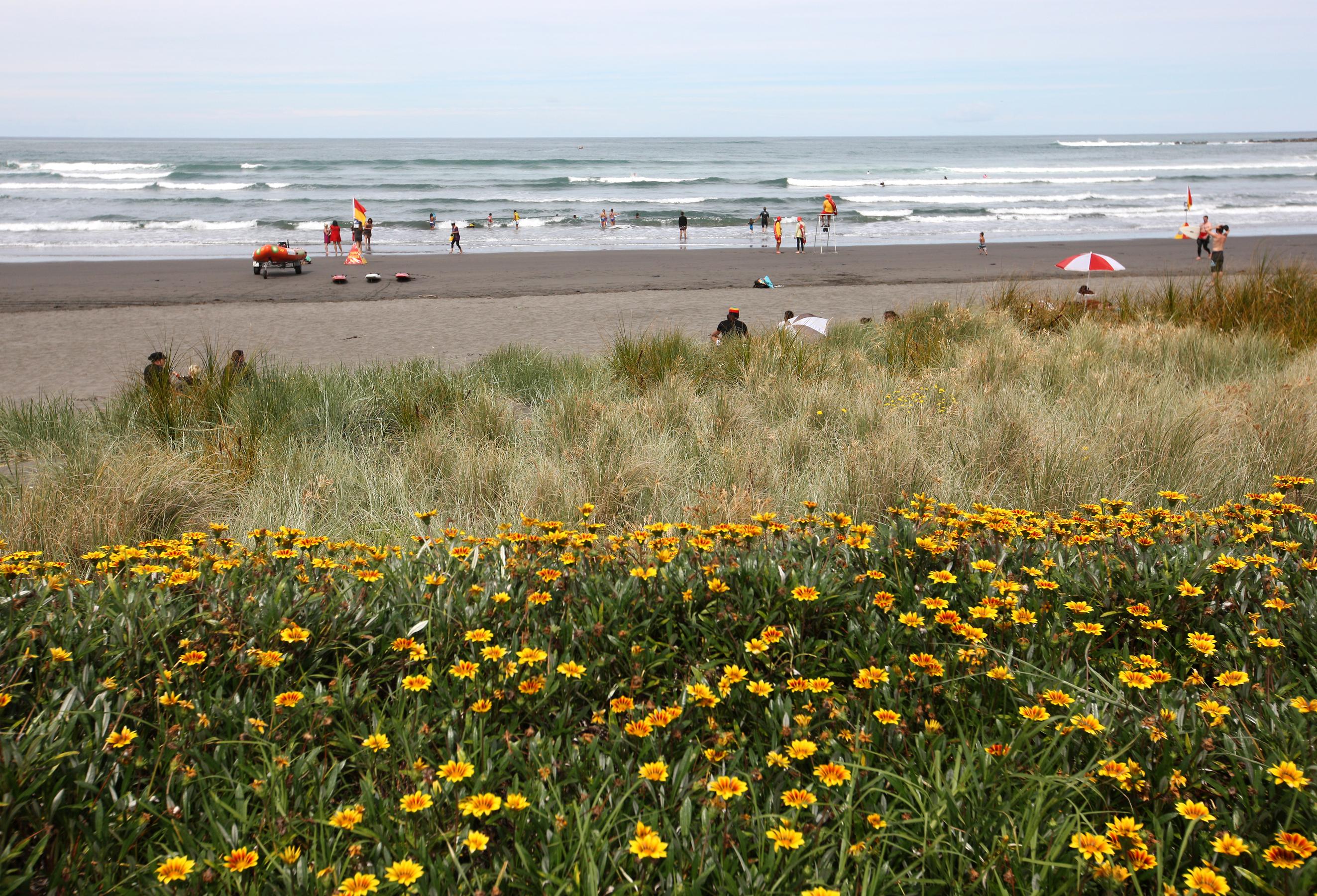 Cruising Surf Highway 45: A Local's Guide