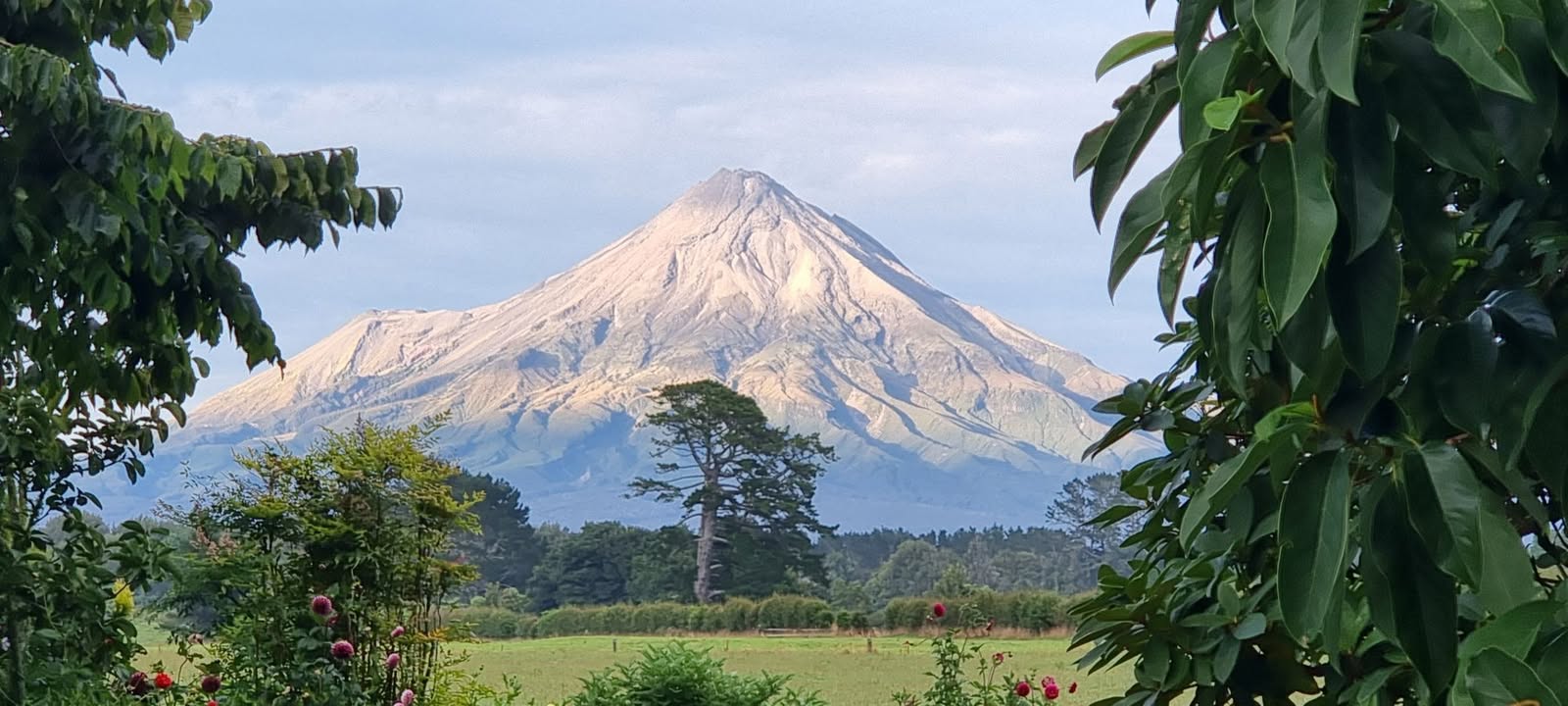 Taranaki Maunga captured this morning at 7:30am