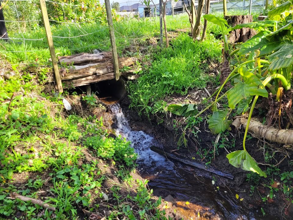The next stage of NPDC’s innovative flood reduction project in Waitara gets underway this week.