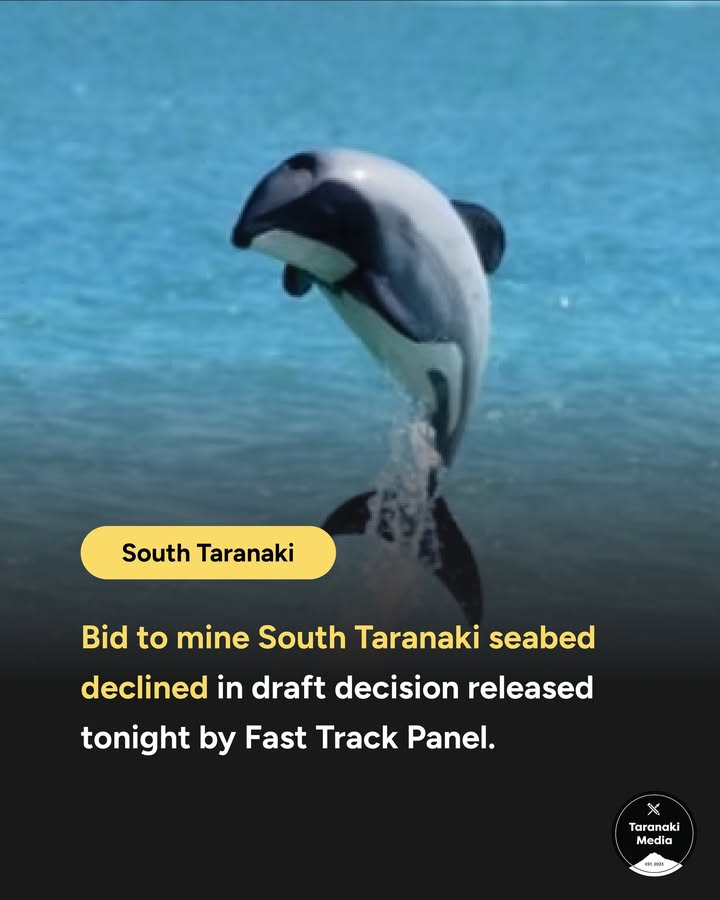 "The South Taranaki Bight is an ecologically important area for marine mammals, including twelve threatened taonga…