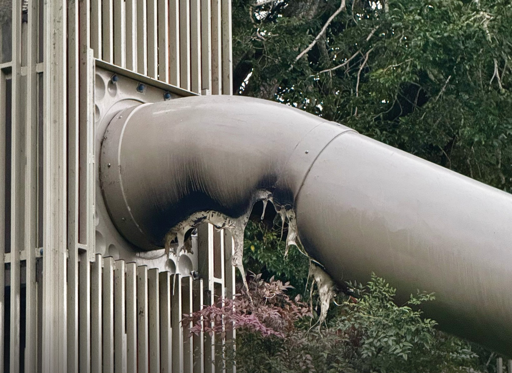 Pukekura Park Playground Slide Damaged by Fire as Vandalism Costs Soar in New Plymouth