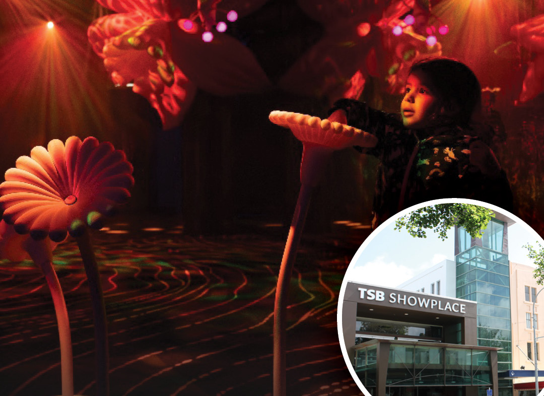 Immersive Light Experience 'Darklight' Coming to New Plymouth's TSB Showplace