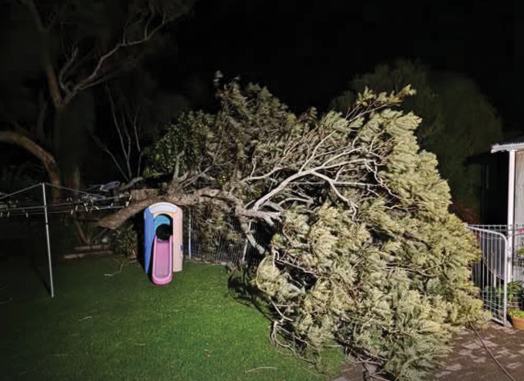 NPDC Cancels Bin Collections as Severe Wind Warning Batters Taranaki