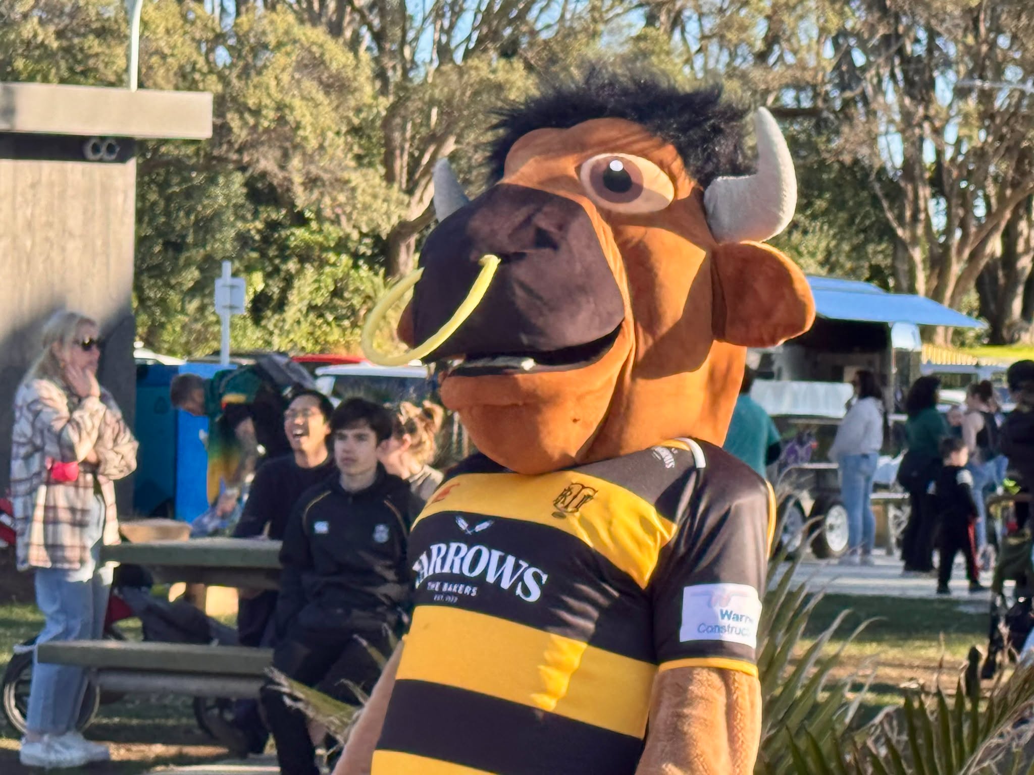 Story gallery photo 1