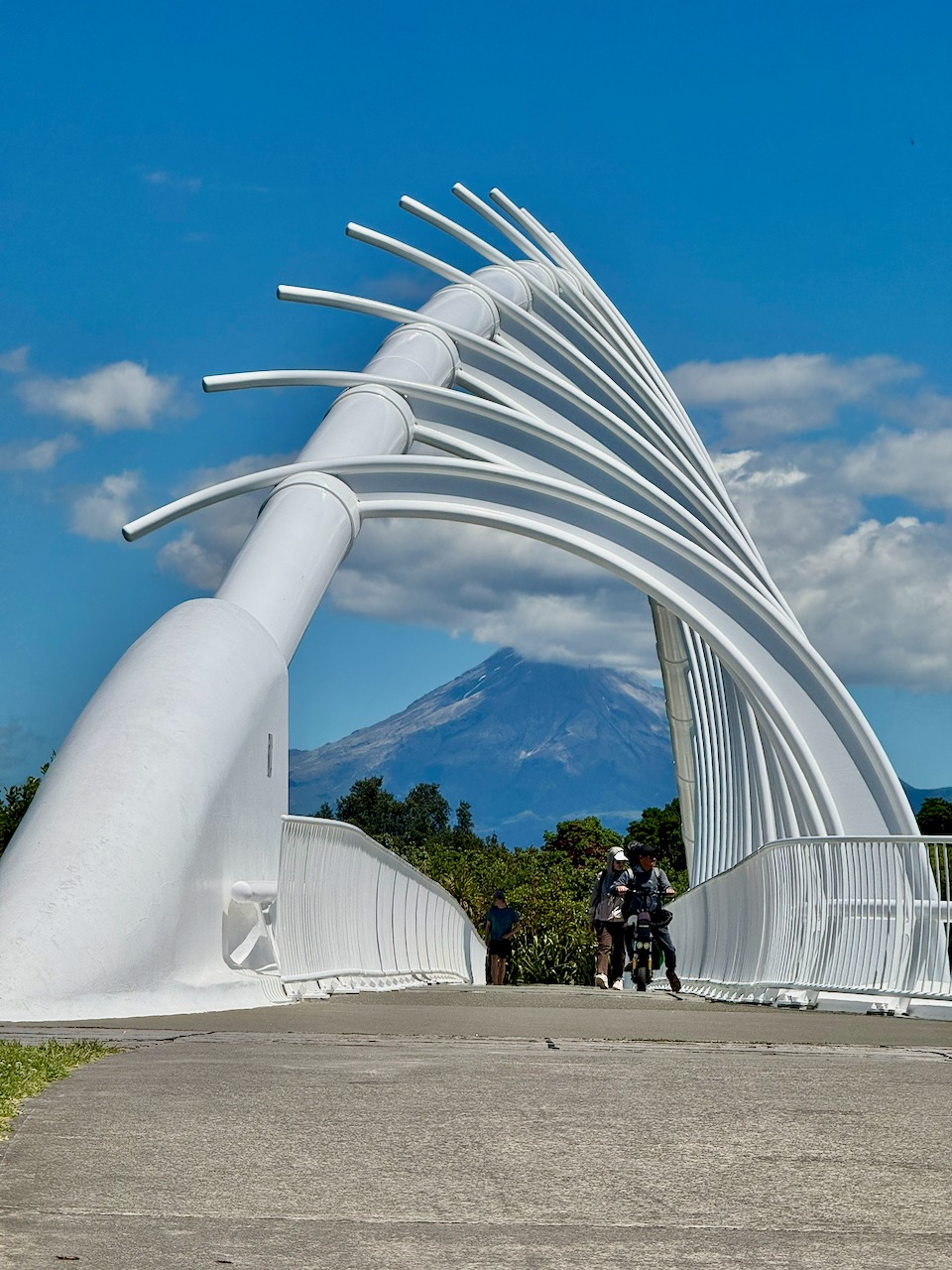 Story gallery photo 1