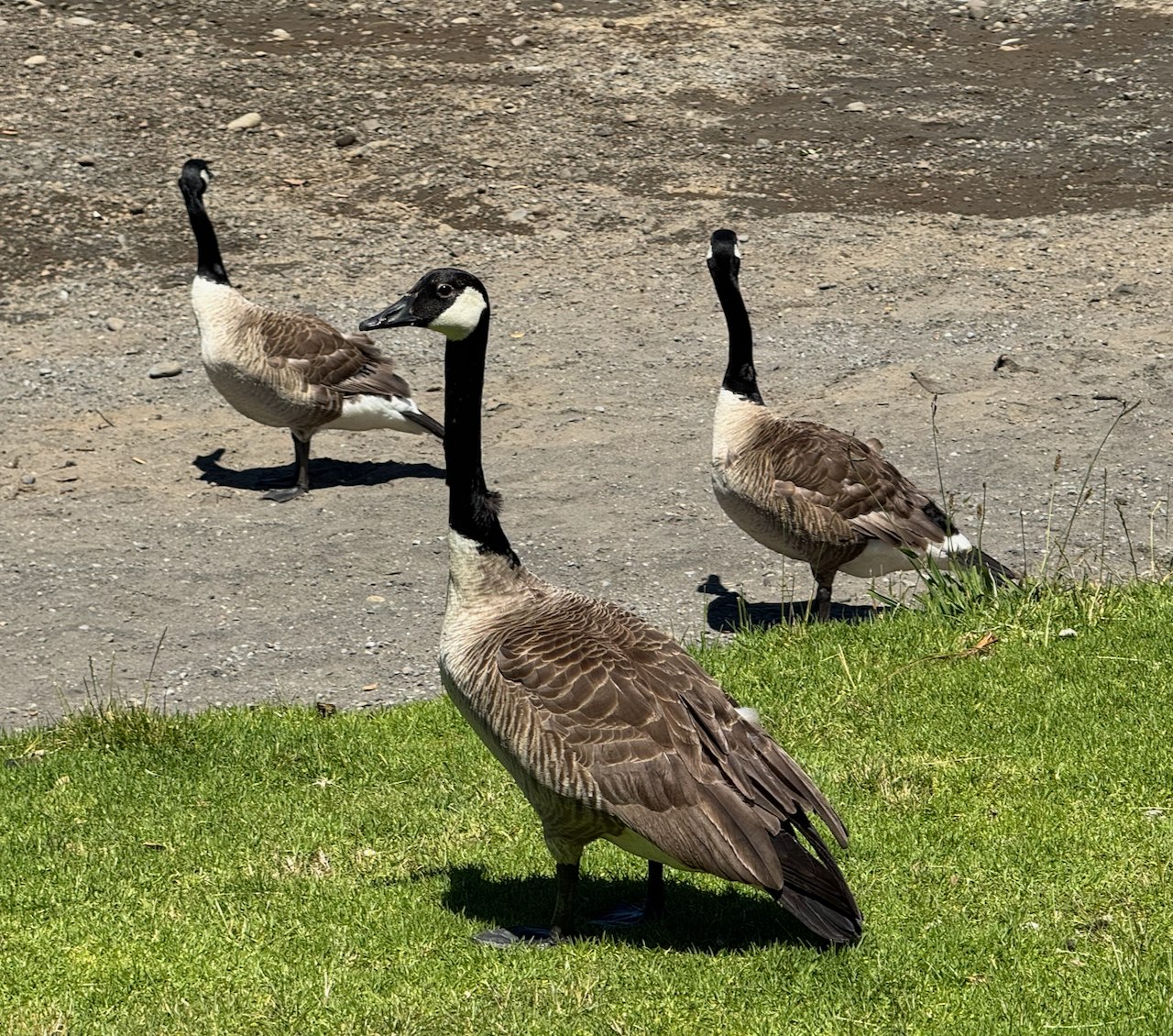 Story gallery photo 11