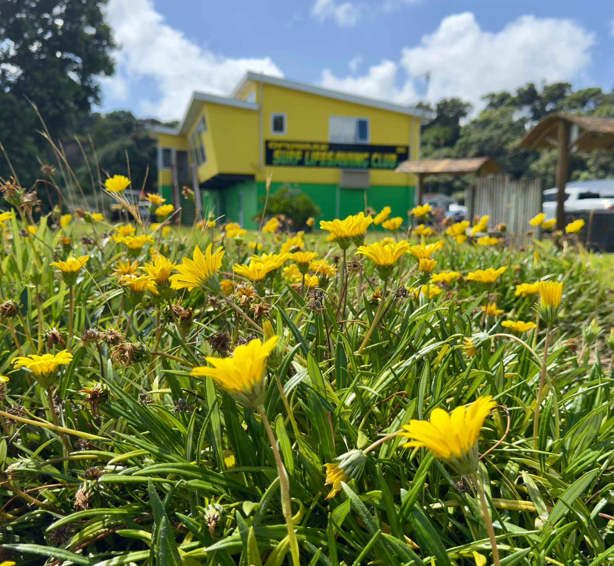 Photos: Summer at Ōpunake Beach