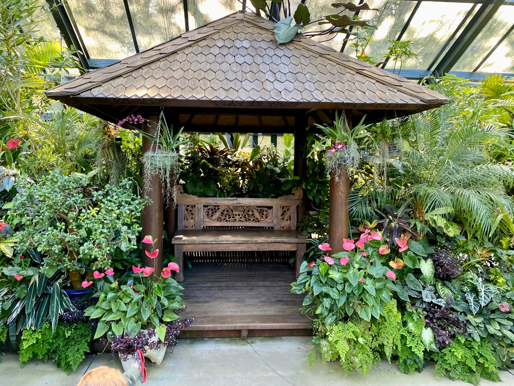 Photos: Tours of Pukekura Park Fernery and Display Houses