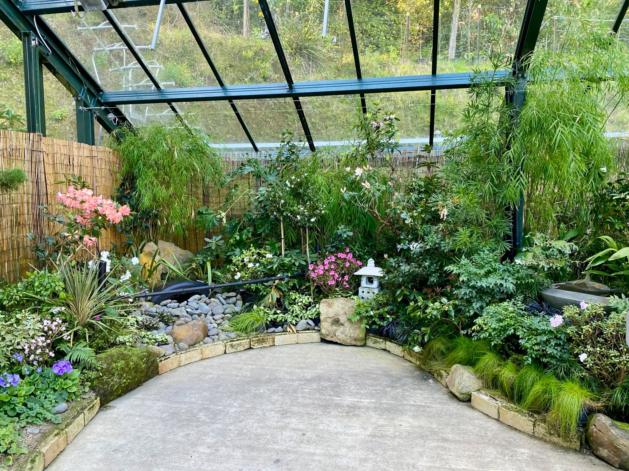 Story gallery photo 12