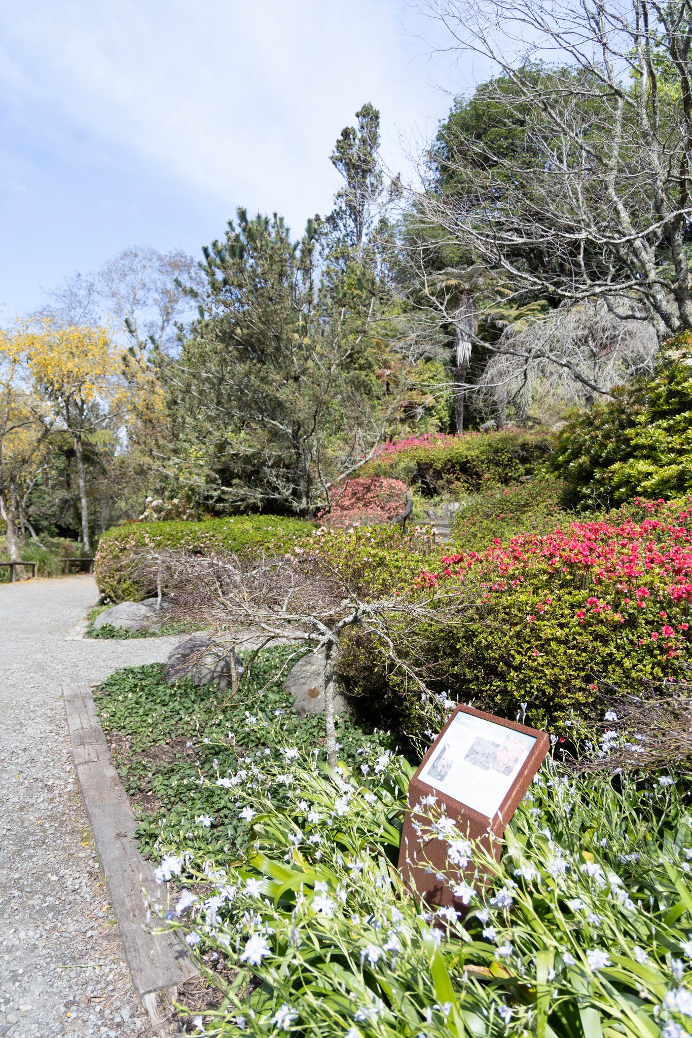 Story gallery photo 42