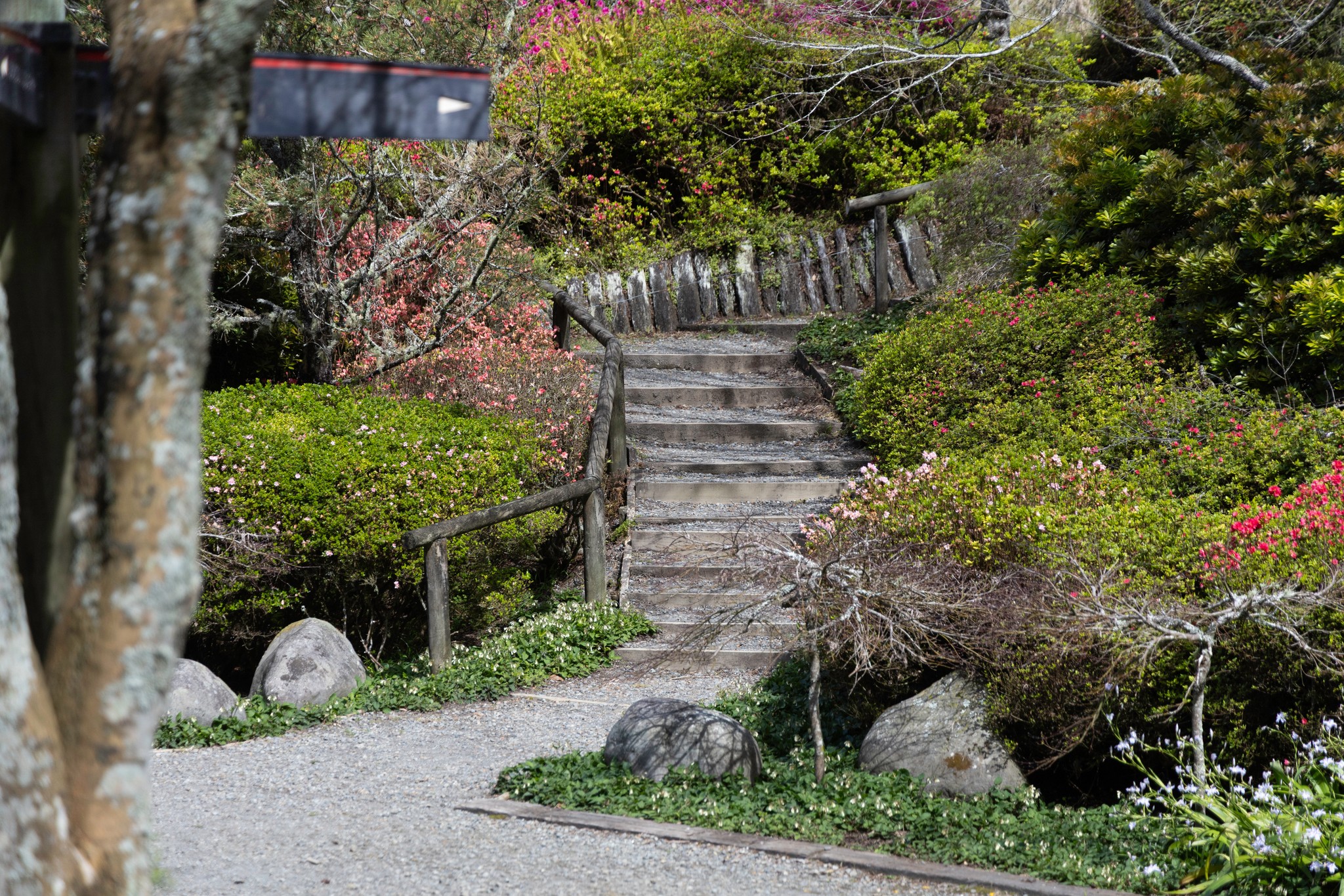 Story gallery photo 55