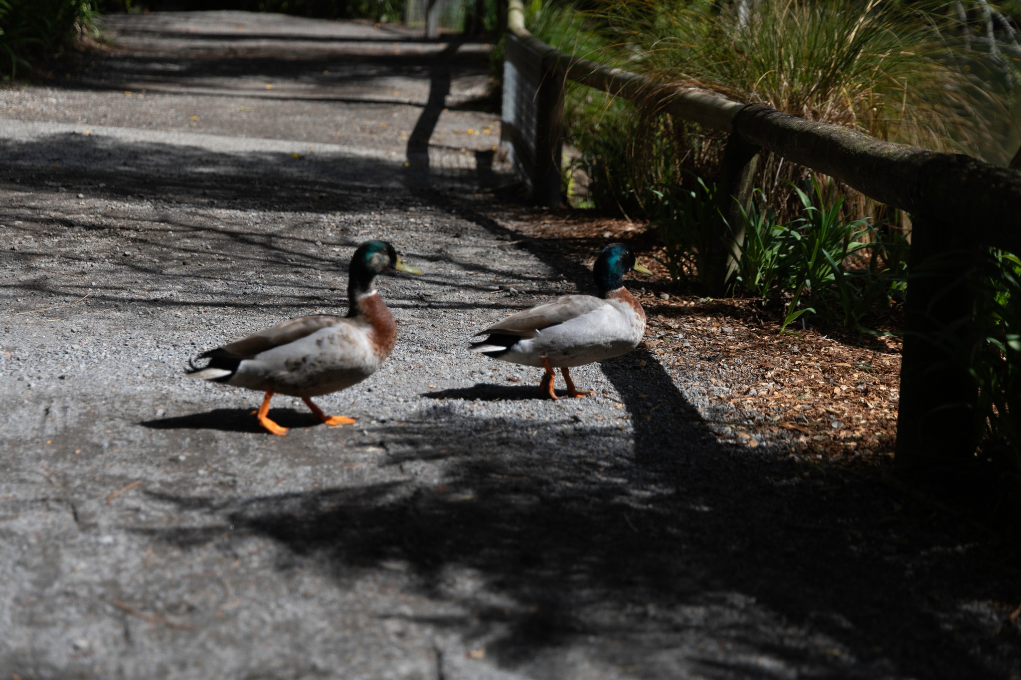 Story gallery photo 64