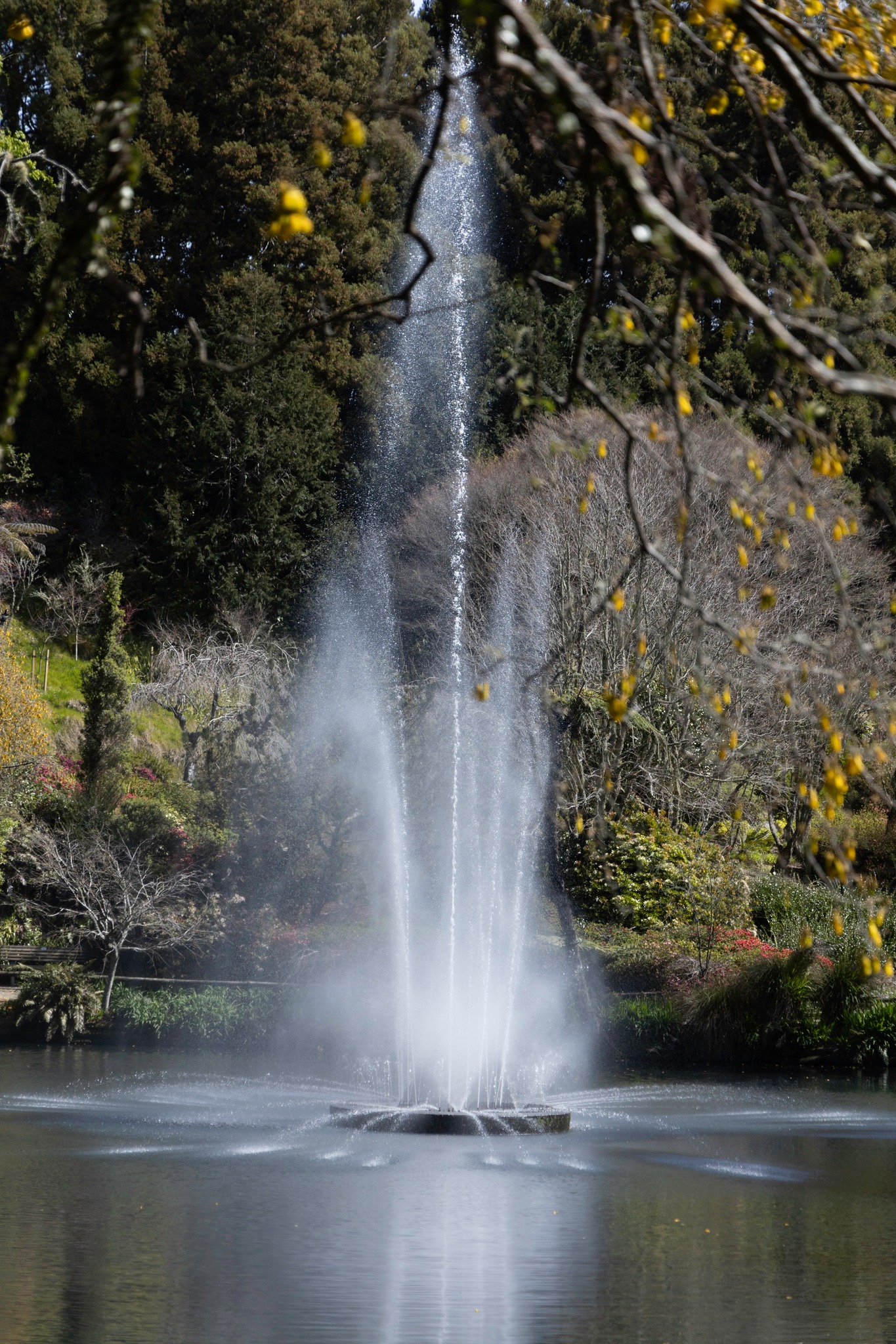 Story gallery photo 84