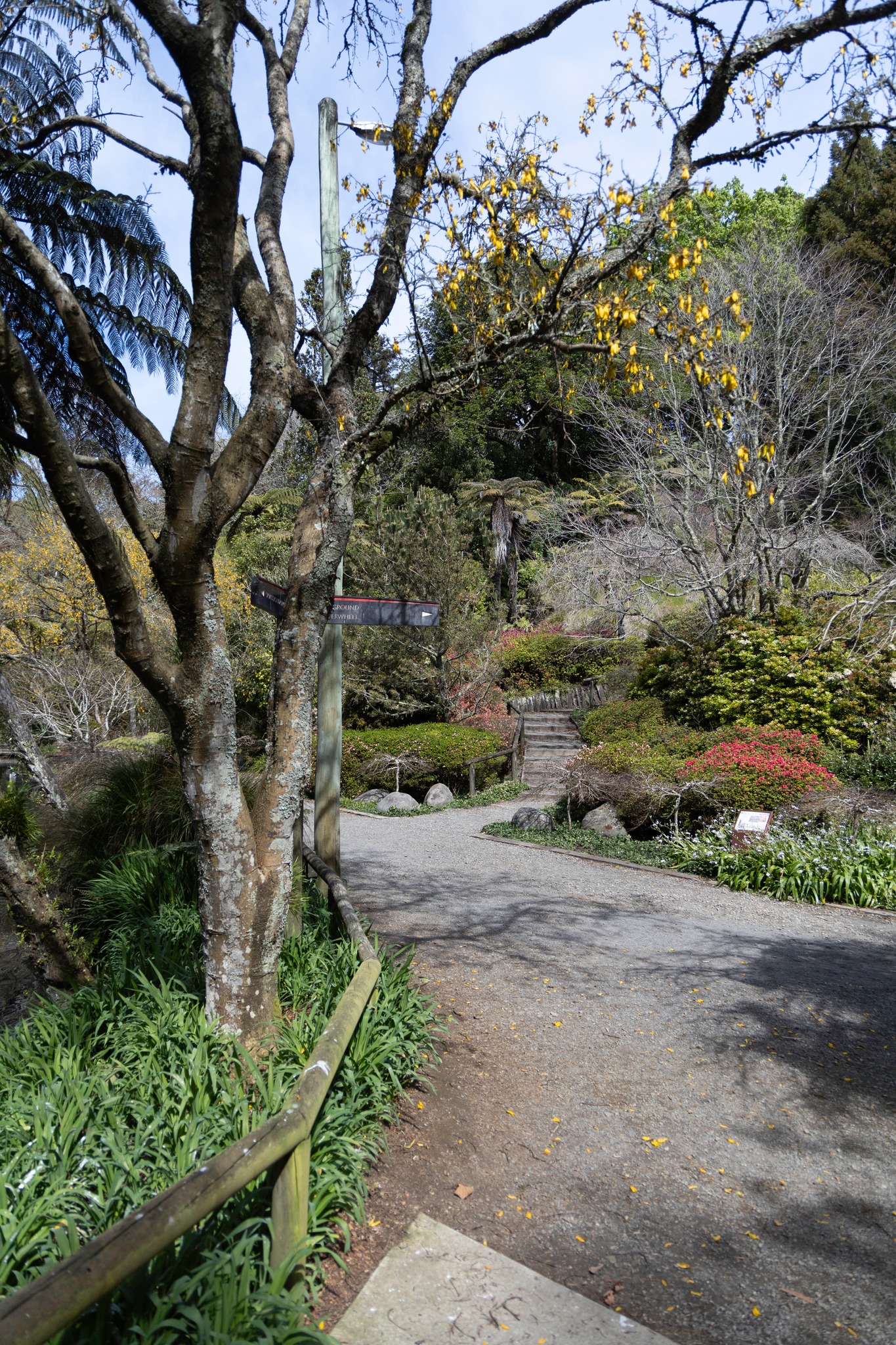 Story gallery photo 86
