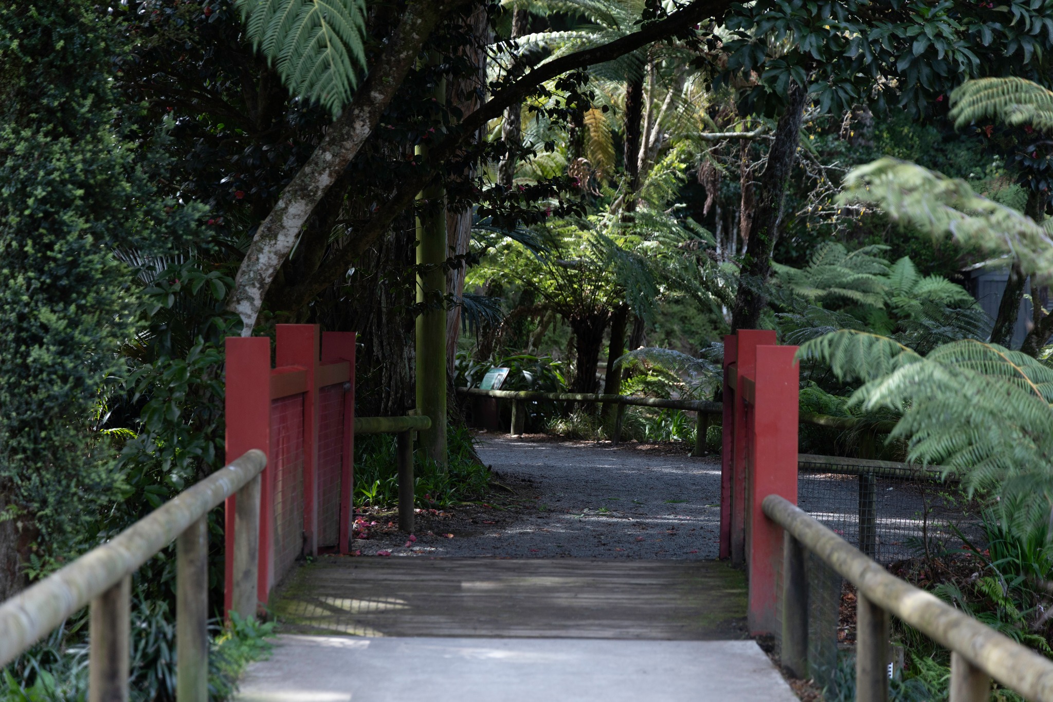 Story gallery photo 92