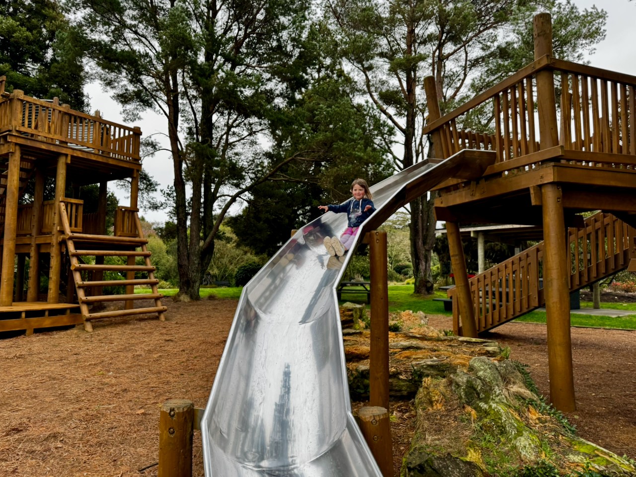 Story gallery photo 6