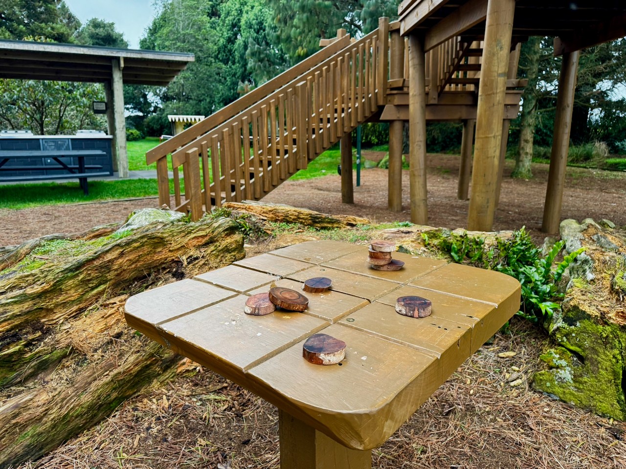 Story gallery photo 20