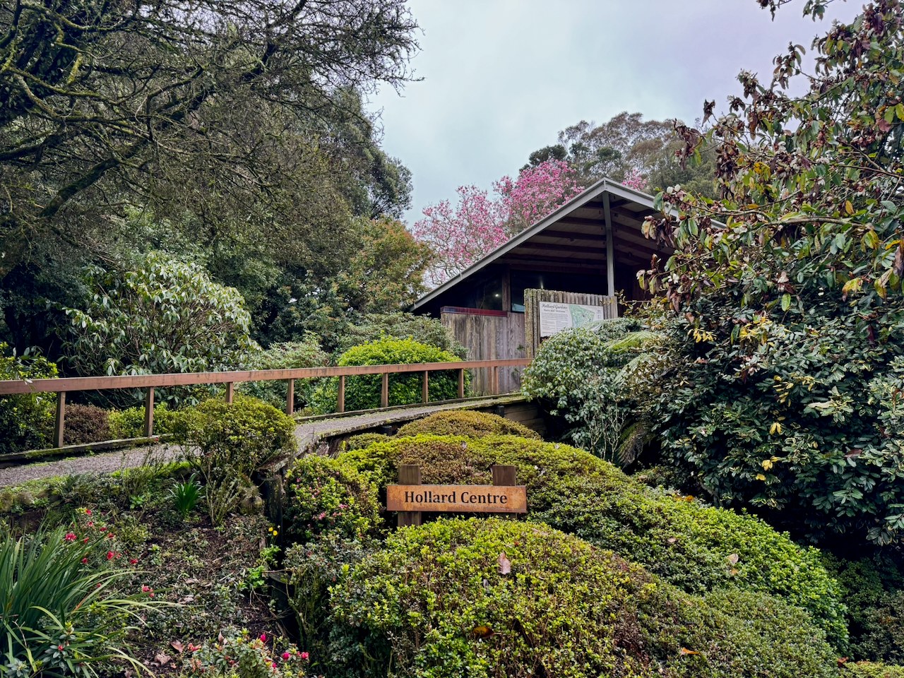 Story gallery photo 31