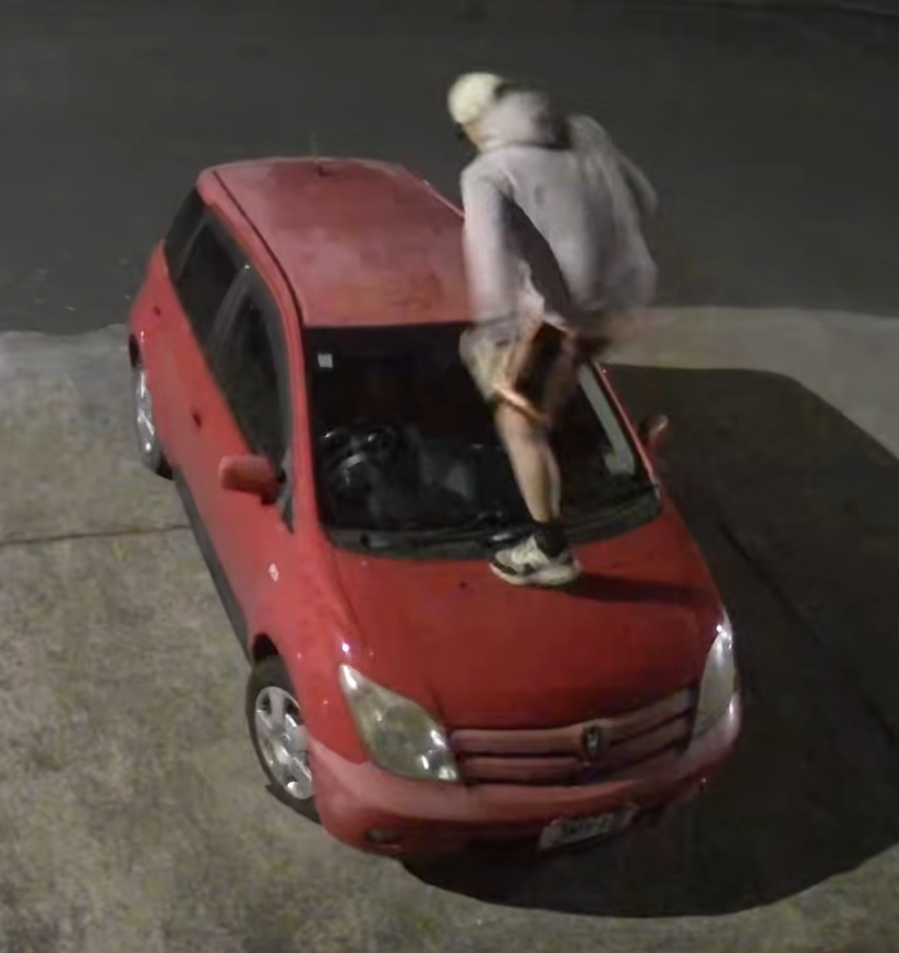 Taranaki Teen Charged After 13 Cars Damaged in Waitara and New Plymouth Vandalism Spree