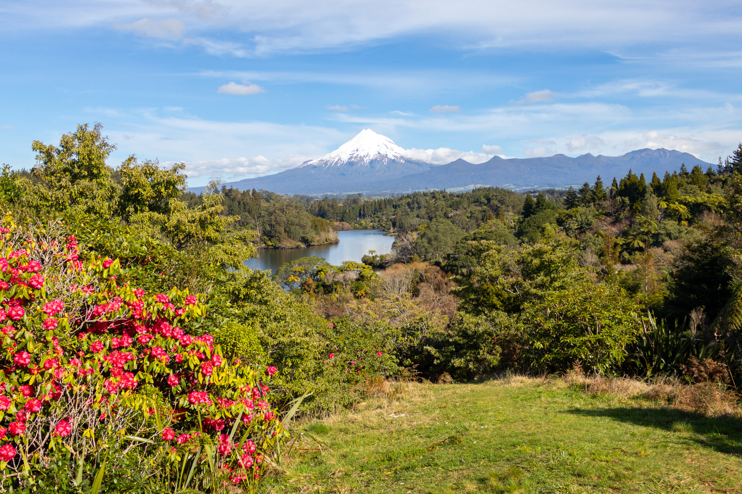 Taranaki Garden Festival Celebrates 38th Year with Diverse Gardens and Events