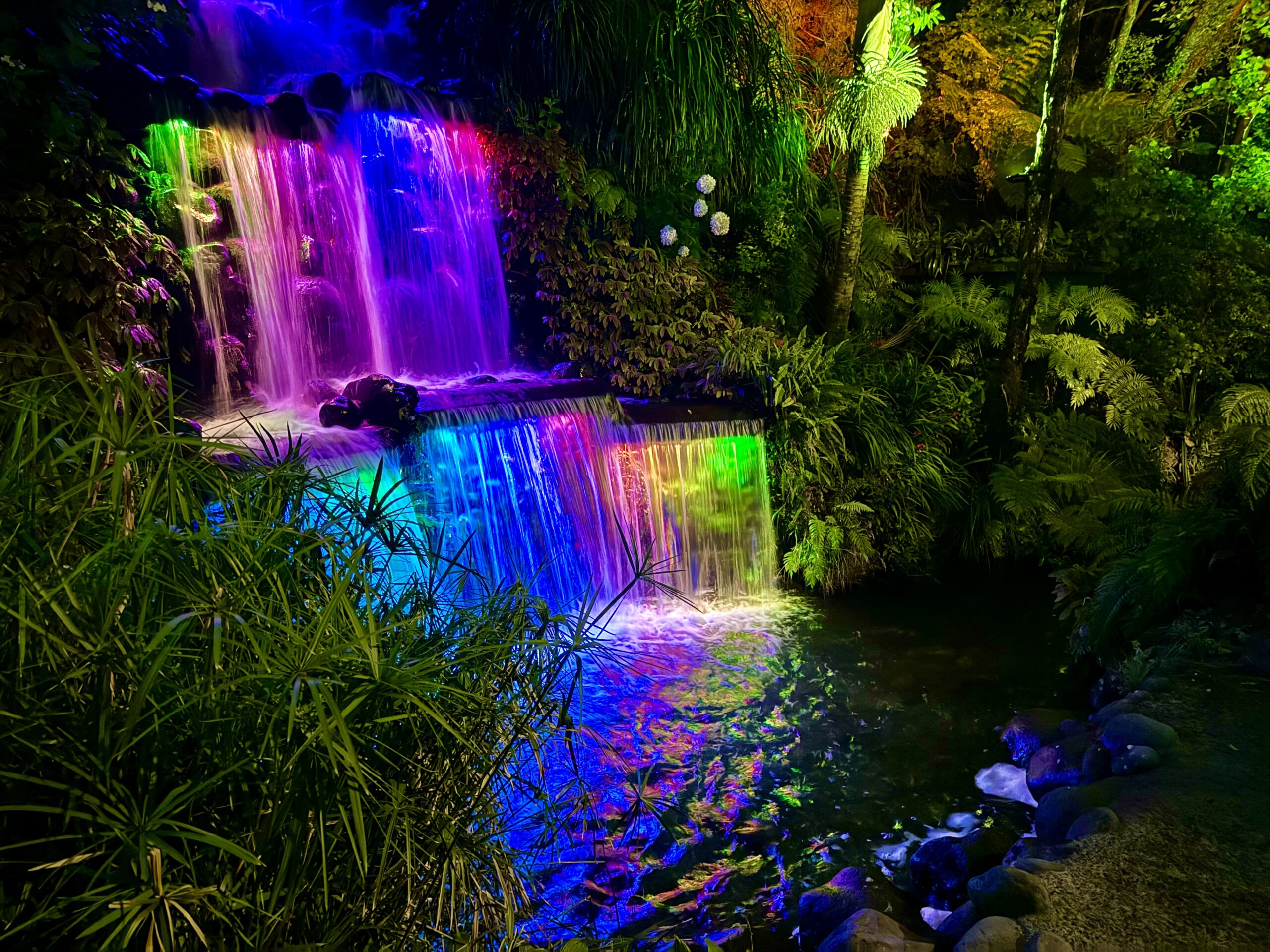 TSB Festival of Lights Kicks Off Five Weeks of Art and Entertainment in Pukekura Park