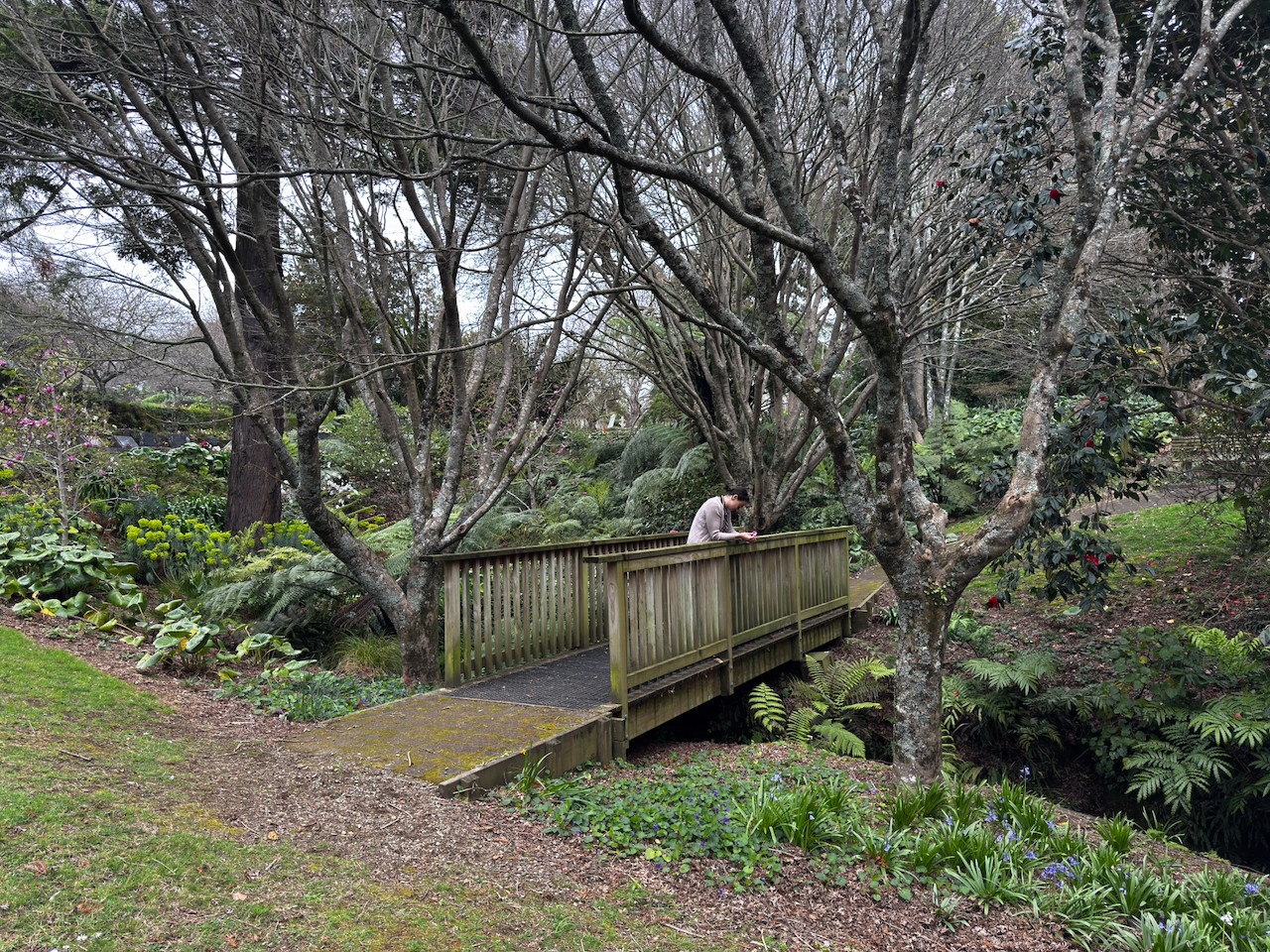 Story gallery photo 8