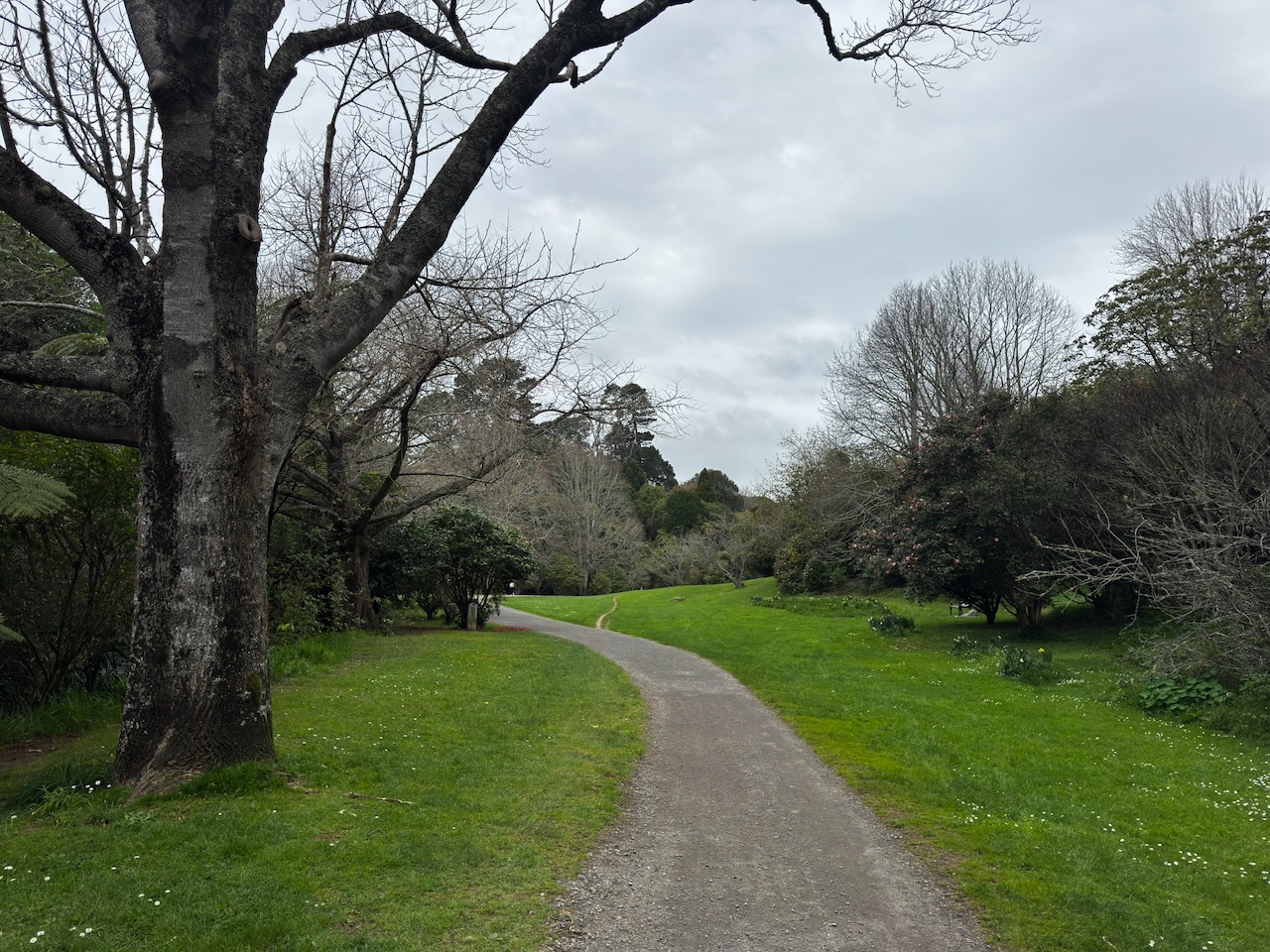Story gallery photo 12