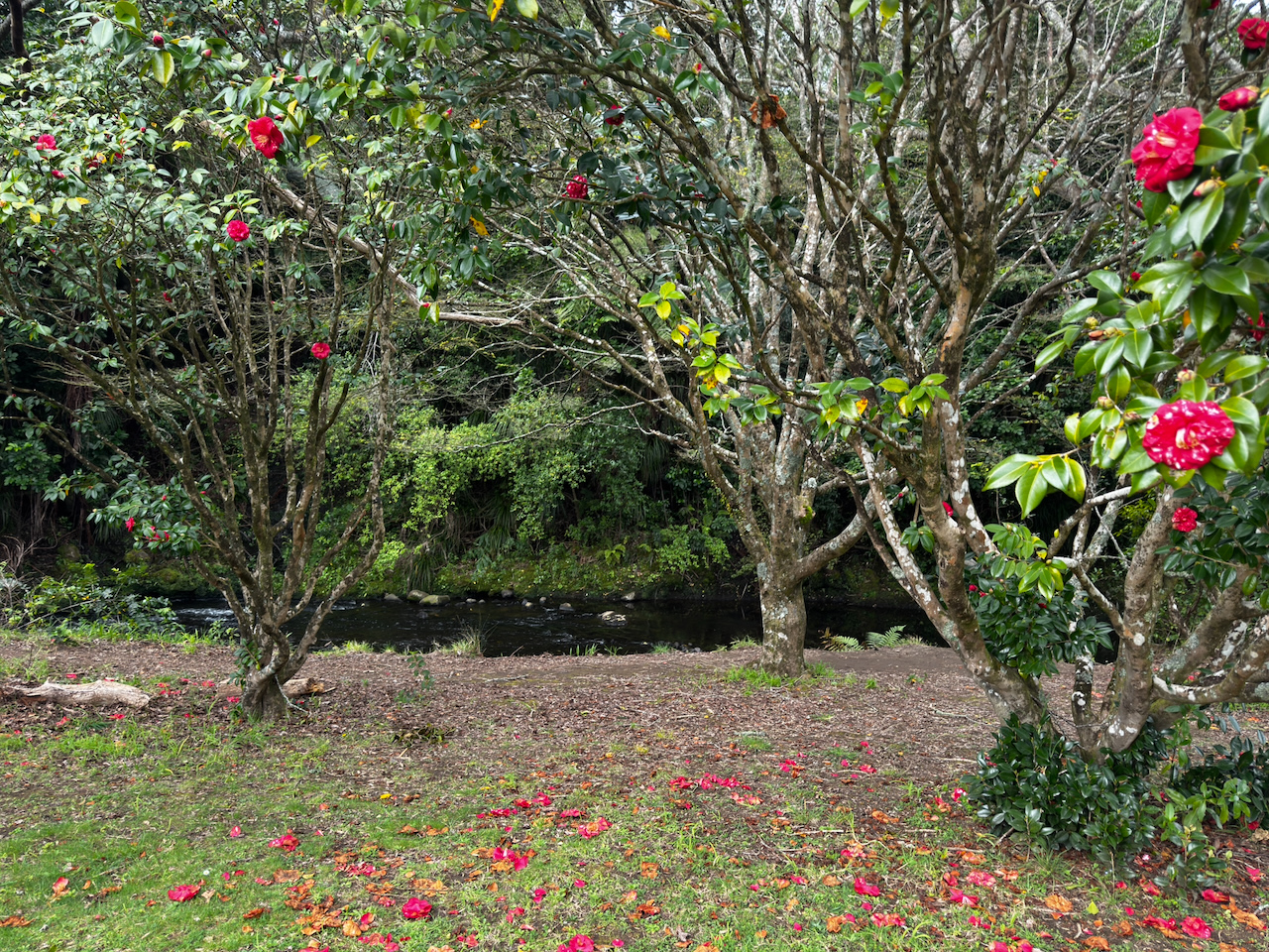 Story gallery photo 13
