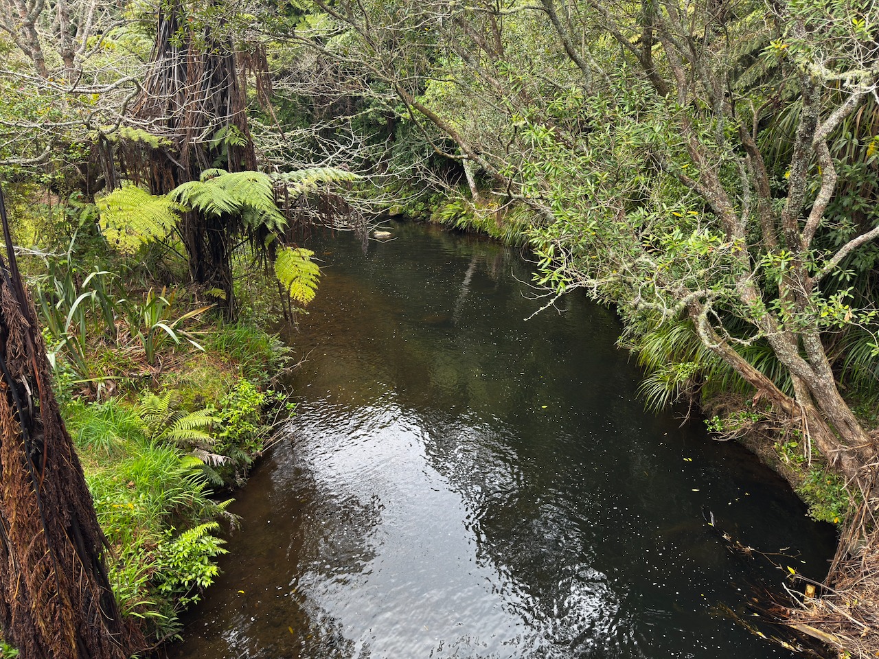 Story gallery photo 15