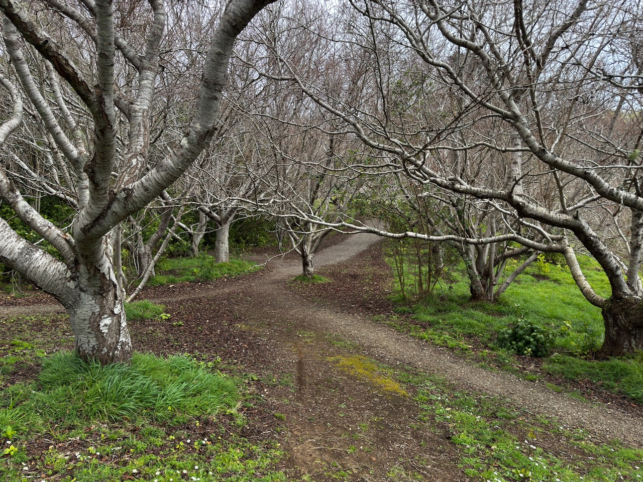 Story gallery photo 16