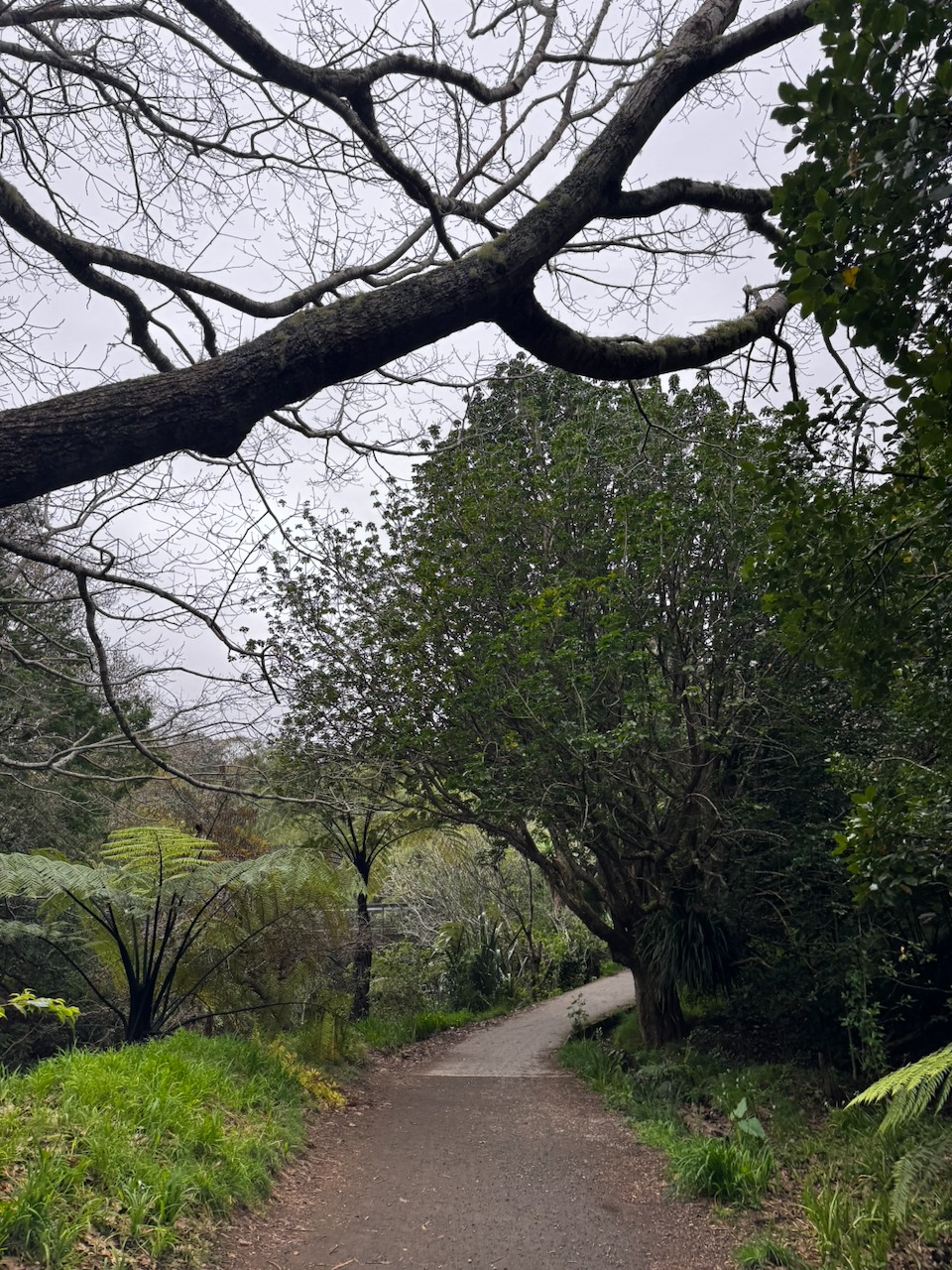 Story gallery photo 43